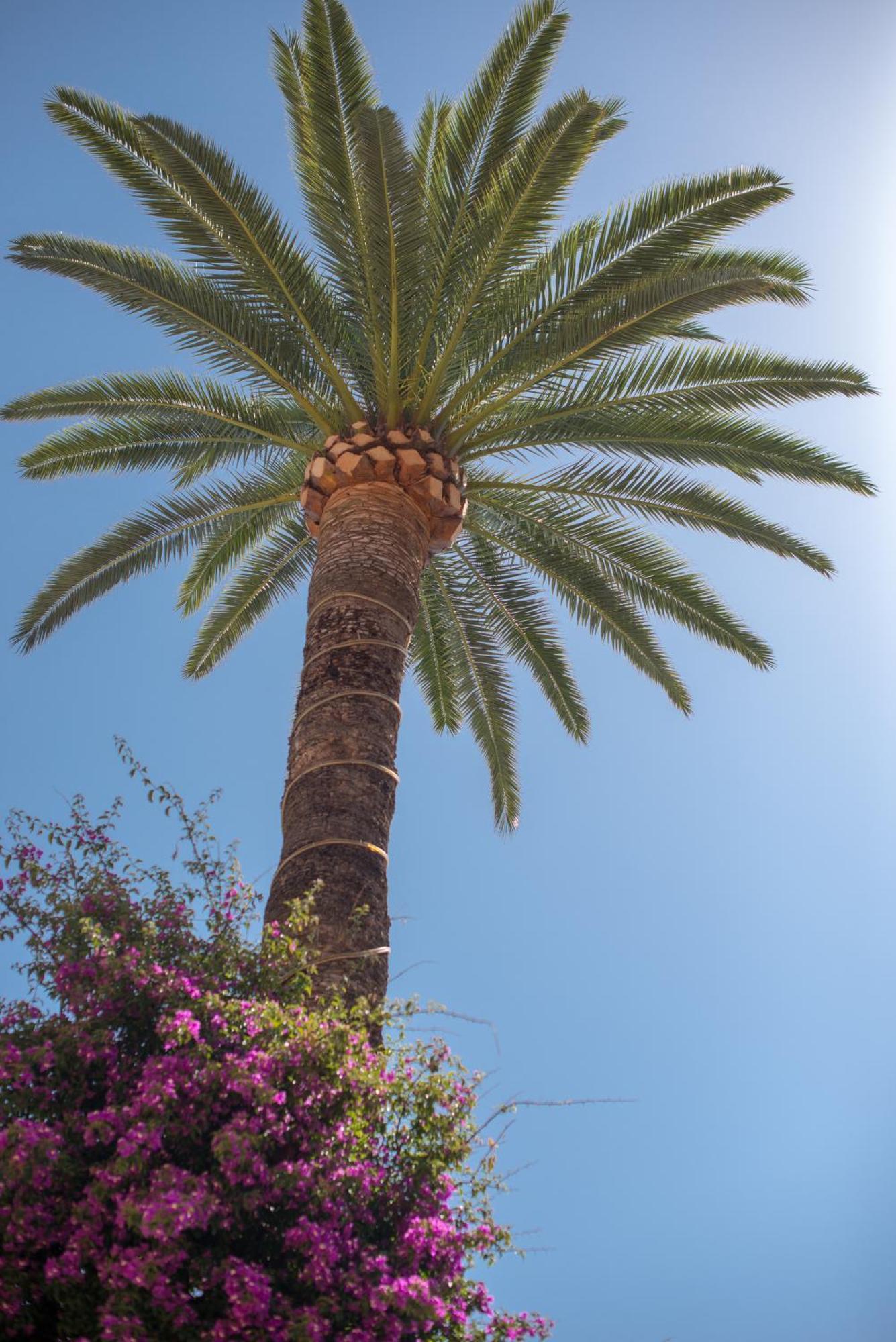 Hotel Et Appartements Reine D'Azur Roquebrune-Cap-Martin Ngoại thất bức ảnh