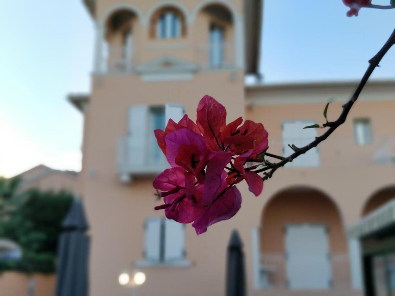 Hotel Et Appartements Reine D'Azur Roquebrune-Cap-Martin Ngoại thất bức ảnh